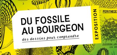 Sciences naturelles et patrimoine à l’honneur au BIOME