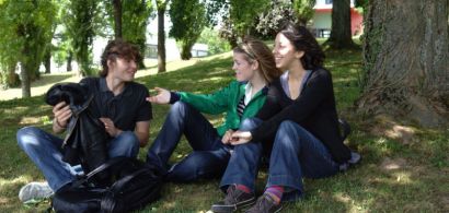 Des étudiants discutent sous un arbre sur le campus de la Bouloie