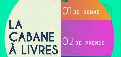 CABANE A LIVRES