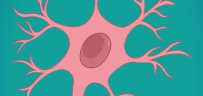 Visduel - Exposition Cellulissime