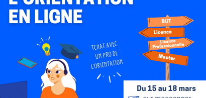 BUT, Licences, licences professionnelles, masters