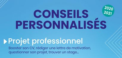 Insertion professionnelle