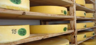 Meules de comté