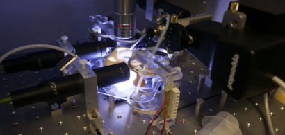 Un dispositif expérimental avec un microscope.