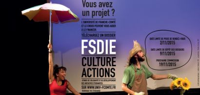 Affiche FSDIE novembre 2015