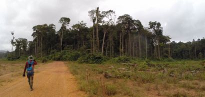 Guyane