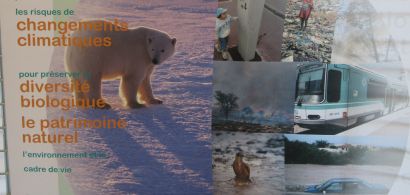 ours blanc