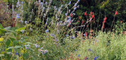 Jardin botanique