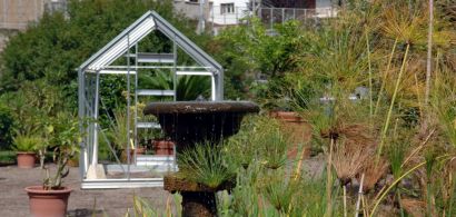 Photo du jardin botanique