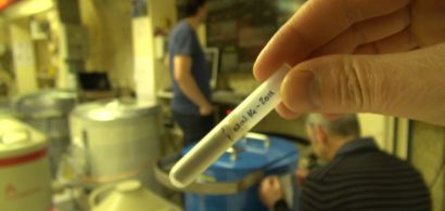Analyse d'échantillons de sédiments dans le laboratoire souterrain de Modane
