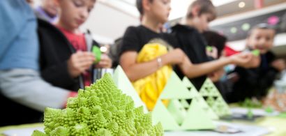 Maths et plantes