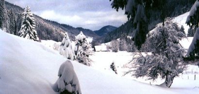 Photo de paysage montagneux enneigé