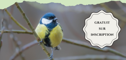 sur inscription à l'accueil ou à learning-centre@umlp.fr