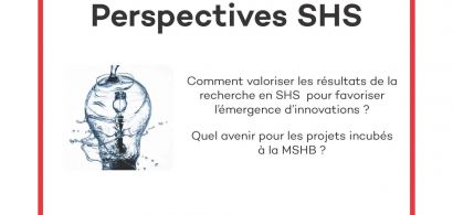 perspectives_shs_2019