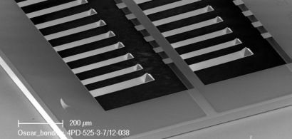 Image obtenue grâce au microscope