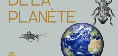 insectes et globe terrestre