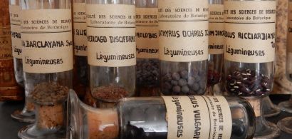 L’éloge des semences 