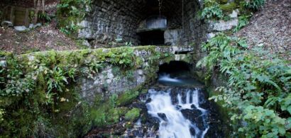 La source d'Arcier