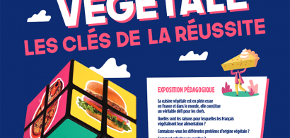 cuisine vegetale