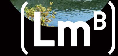 Extrait de l'affiche des Trimestres du LMB