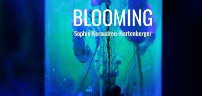 blooming