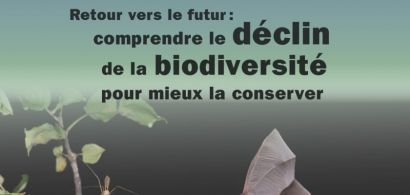 Affiche conférence biodiversité