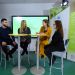 WebTV IUT