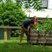 Deux étudiants de la MéMO jardinent sur le campus