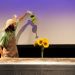 Un comédien fait semblant d'arroser des tournesols 