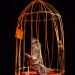 Une chaussure au talon en forme de clé dans une cage.