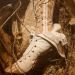 Ciouleur sépia, des bottines cousues dans de la toile à matelas avec un talon en ressort.