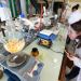 Plusieurs étudiants en blouse dans une salle de TP de chimie.